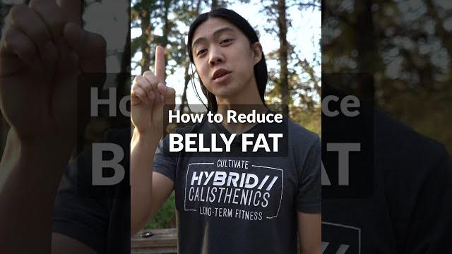 How to lose belly fat How to lose belly fat