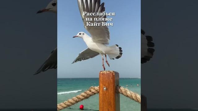 Чем заняться в дубае? #дубай#оаэ Чем заняться в дубае? #дубай#оаэ