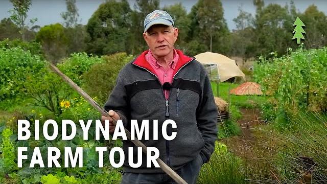 Purple pear biodynamic permaculture farm tour Purple pear biodynamic permaculture farm tour