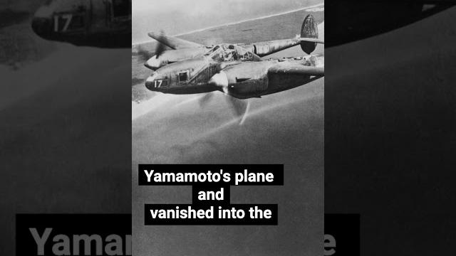P 38 lightning the twin tailed ace maker P 38 lightning the twin tailed ace maker
