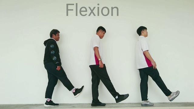 Anatomical terms of movements Anatomical terms of movements