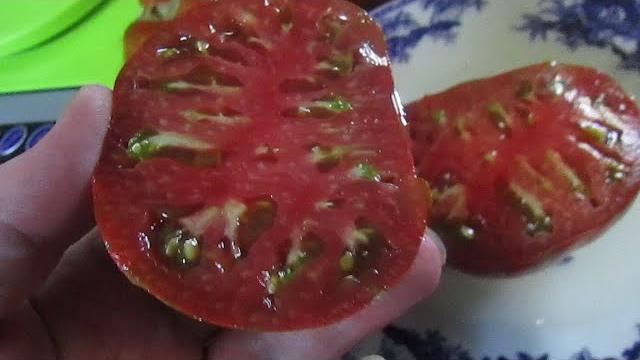 Томат беркли тай дай хат. Томат беркли тай дай хат.