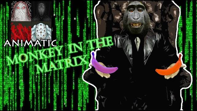 Monkeying around !! Monkeying around !!