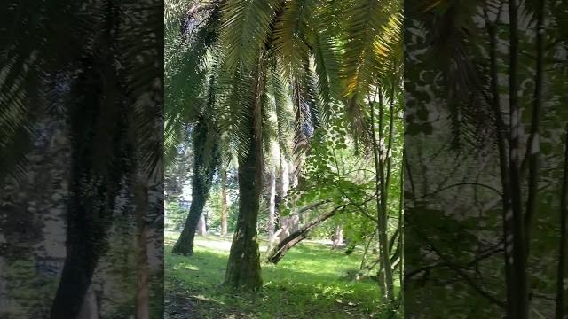 Буйство красок Буйство красок