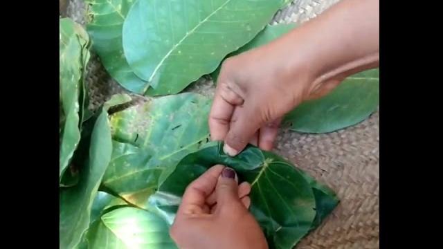 Leaf bowl making || Leaf bowl making ||