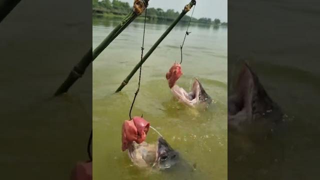 Amazing diy fishing ideas part 1 3 Amazing diy fishing ideas part 1 3