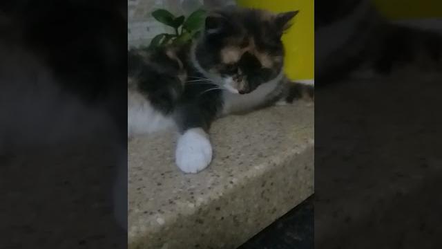 А кто тут у нас сонная колбаска? А кто тут у нас сонная колбаска?