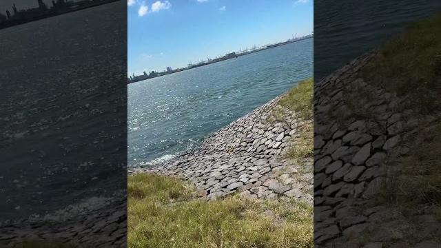 Hoek van holland sahili#keşfet #youtubeshorts #keşfetbeniöneçıkar #keşfetedüş #keşfetteyiz #abonelik Hoek van holland sahili#keşfet #youtubeshorts #keşfetbeniöneçıkar #keşfetedüş #keşfetteyiz #abonelik