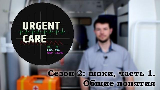 Шоки, часть 1. общие понятия Шоки, часть 1. общие понятия