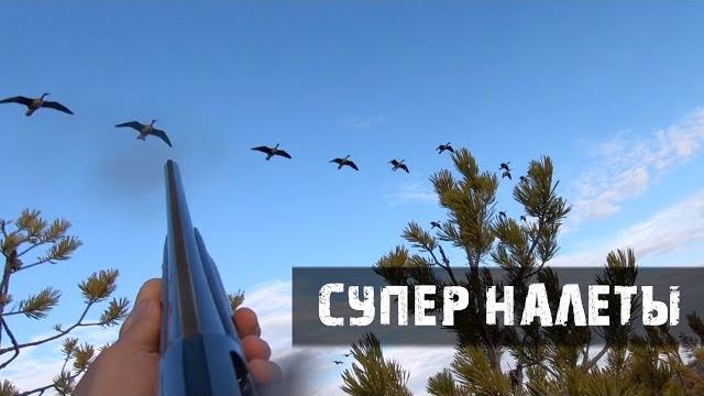 Охота на гуся весна/гуси садятся на голову Охота на гуся весна/гуси садятся на голову