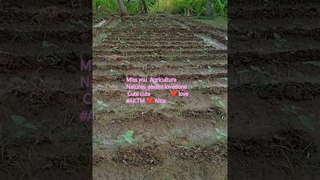 #aktm #aktm