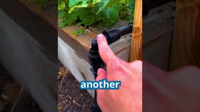 How to convert to a self-watering raised bed garden How to convert to a self-watering raised bed garden