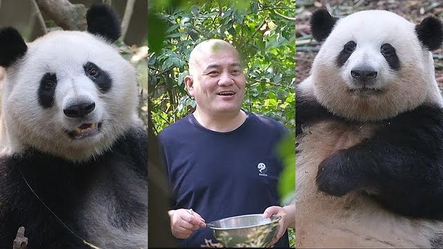 25.05.22 两个孙女,你方唱罢我登场,总有一个要拿捏爷爷! 25.05.22 两个孙女,你方唱罢我登场,总有一个要拿捏爷爷!