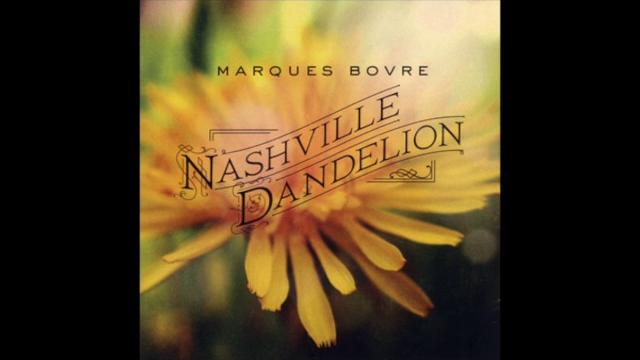 Blaze - marques bovre Blaze - marques bovre
