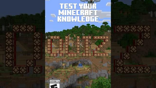Do you know minecraft? Do you know minecraft?