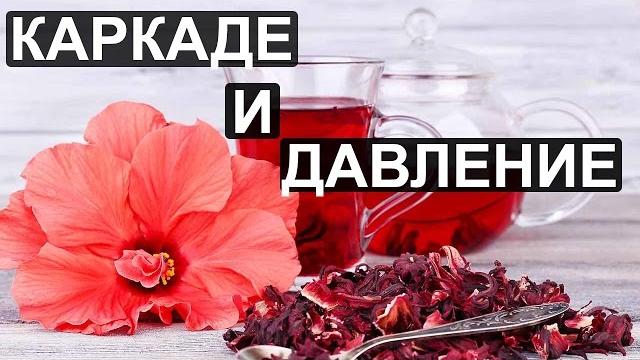 Чай каркаде понижает или повышает давление? Чай каркаде понижает или повышает давление?