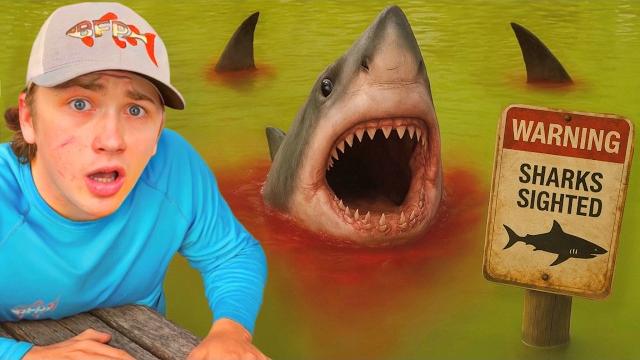 My pond is infested with sharks! My pond is infested with sharks!