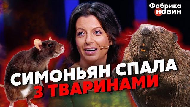 ️гордон спалил позорное прошлое симоньян! боброедка готова на все, чтобы этот ужас не повторить ️гордон спалил позорное прошлое симоньян! боброедка готова на все, чтобы этот ужас не повторить