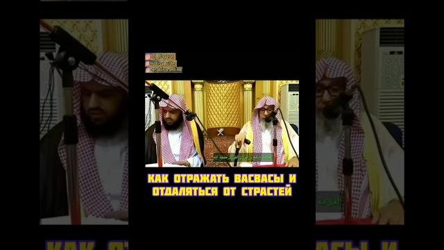 Как избавиться от васваса и страстей? шейх салих аль фаузан #ислам #шайтан #джинн #фаузан #сунна Как избавиться от васваса и страстей? шейх салих аль фаузан #ислам #шайтан #джинн #фаузан #сунна
