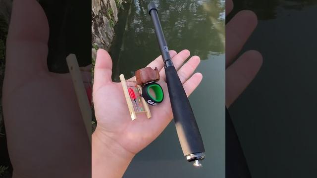 Tiny fishing.mini rod fishing #fishing #minirod #minifish #fishinggear #fishingequipment Tiny fishing.mini rod fishing #fishing #minirod #minifish #fishinggear #fishingequipment