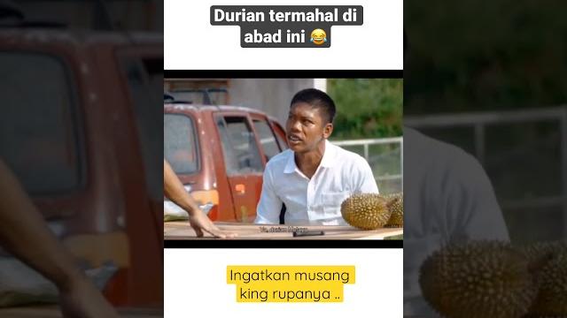 Durian rm800 sekilo Durian rm800 sekilo