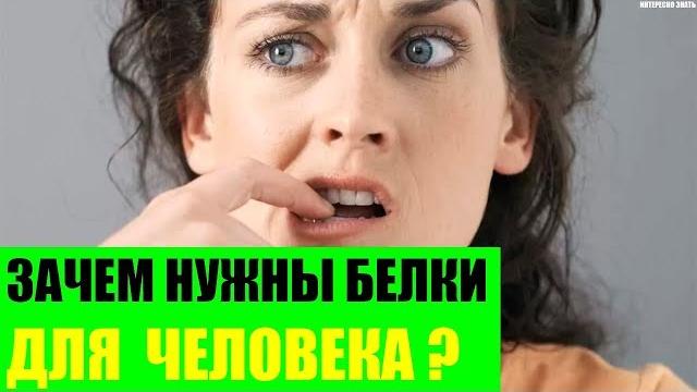 Зачем нужны белки для организма человека? Зачем нужны белки для организма человека?