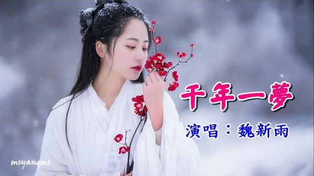 千年一夢 魏新雨(好聽) 千年一夢 魏新雨(好聽)