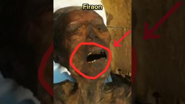 People who challenged allah.#shorts #viralvideo #ytshort #islam People who challenged allah.#shorts #viralvideo #ytshort #islam