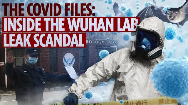 Inside the wuhan lab-leak scandal - bioweapons, cover-ups & the covid 'smoking gun'... | documentary Inside the wuhan lab-leak scandal - bioweapons, cover-ups & the covid 'smoking gun'... | documentary