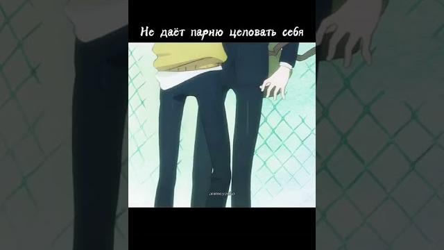 #shorts #gay #гей #yaoi #bl гей аниме #shorts #gay #гей #yaoi #bl гей аниме