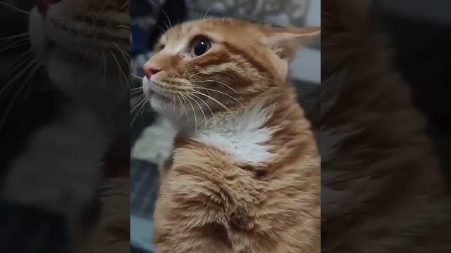 (补档)招财终局一战节选 (补档)招财终局一战节选