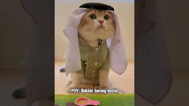 :alhamdulillah hari pertama puasa lancar woi #cat #kucinglucubandung #kucing #kucingtiktok :alhamdulillah hari pertama puasa lancar woi #cat #kucinglucubandung #kucing #kucingtiktok