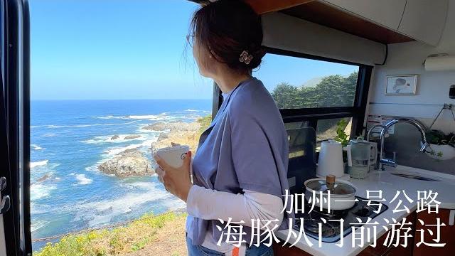 Rvlog|加州一号公路 海豚从门前游过|夜宿葡萄酒庄 大苏尔营地篝火炖锅 Rvlog|加州一号公路 海豚从门前游过|夜宿葡萄酒庄 大苏尔营地篝火炖锅