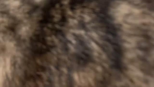 白丝粉嫩脚底 白丝粉嫩脚底