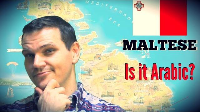Maltese (is it arabic?!) Maltese (is it arabic?!)