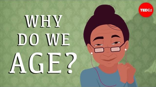 Why do our bodies age? - monica menesini Why do our bodies age? - monica menesini