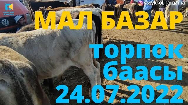 Торпок баасы каракол мал базар 24-июль 2022 г Торпок баасы каракол мал базар 24-июль 2022 г