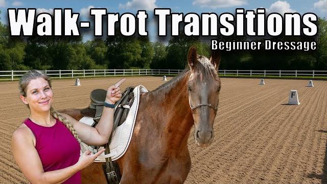 Training walk-trot transitions with my green horse | young dressage horse vlog | rescue to gp ep. 13 Training walk-trot transitions with my green horse | young dressage horse vlog | rescue to gp ep. 13