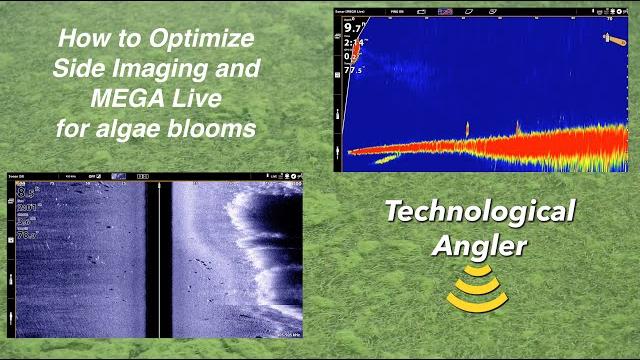 How to adjust humminbird side imaging and mega live for algae blooms – the technological angler How to adjust humminbird side imaging and mega live for algae blooms – the technological angler