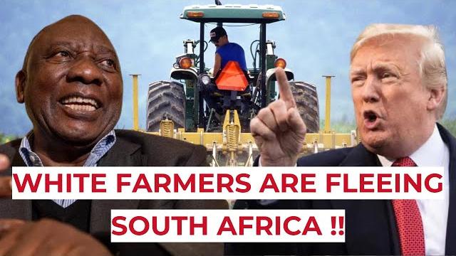 Trump ambushes ramaphosa: tensions over south africa's land reform and white farmer killings #africa Trump ambushes ramaphosa: tensions over south africa's land reform and white farmer killings #africa