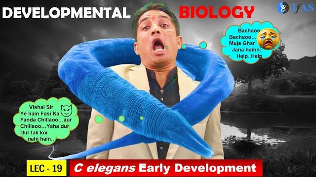 Csir net june 2025 i developmental biology i lecture 19 i c elegans early development i ifas Csir net june 2025 i developmental biology i lecture 19 i c elegans early development i ifas