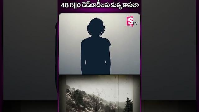 #himachalpradesh #himachal #himachalnews #viralnews #latestnews #viralpost #sumantv #ytshorts #himachalpradesh #himachal #himachalnews #viralnews #latestnews #viralpost #sumantv #ytshorts