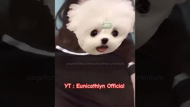 @eunicathlyn @eunicathlyn
