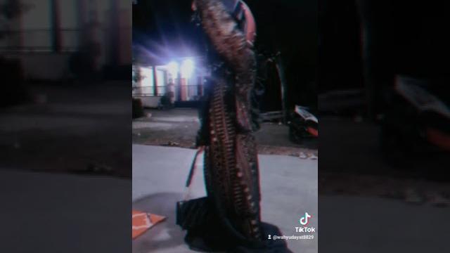Kanza goyang hot Kanza goyang hot