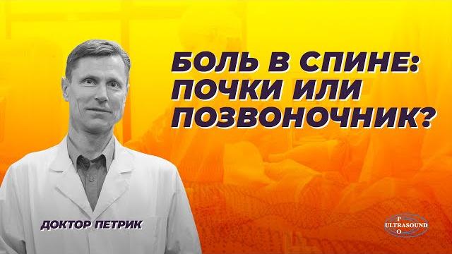 Боль в спине : почки или позвоночник? Боль в спине : почки или позвоночник?