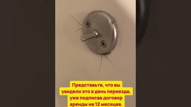 Представьте, что увидели это в день переезда, уже подписав договор аренды на 12 месяцев Представьте, что увидели это в день переезда, уже подписав договор аренды на 12 месяцев
