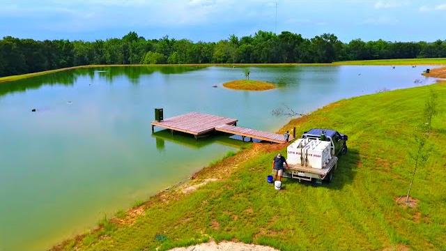 Building a 5 acre pond! (adding the bass) Building a 5 acre pond! (adding the bass)