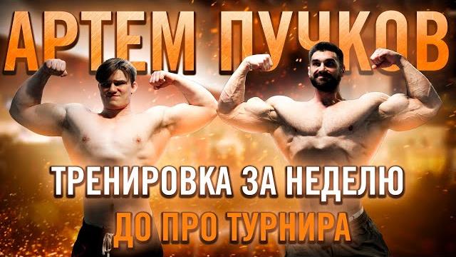 Артем пучков тренировка плеч и трицепса | нюансы подготовки гиганта | 1500 углеводов в день Артем пучков тренировка плеч и трицепса | нюансы подготовки гиганта | 1500 углеводов в день