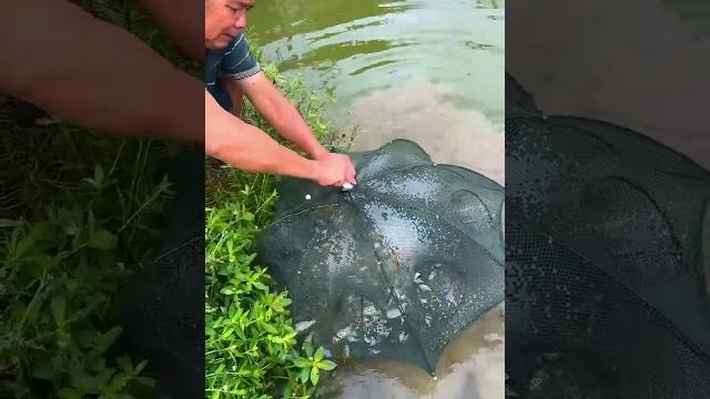 It's fishing season again #rurallife #outdoors #fishfood #fishtrip #xiaomei #fishingfun It's fishing season again #rurallife #outdoors #fishfood #fishtrip #xiaomei #fishingfun