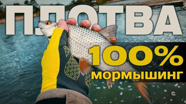 Топ-3 цвета для плотвы! танта с чесноком рвёт! плотва атакует без остановки! #мормышинг - сила Топ-3 цвета для плотвы! танта с чесноком рвёт! плотва атакует без остановки! #мормышинг - сила